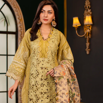 Pakistani Mehndi Dresses