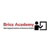 Brics Academy