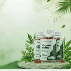 WilderLeaf OrganicHemp